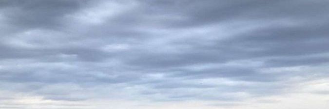 Esra's banner