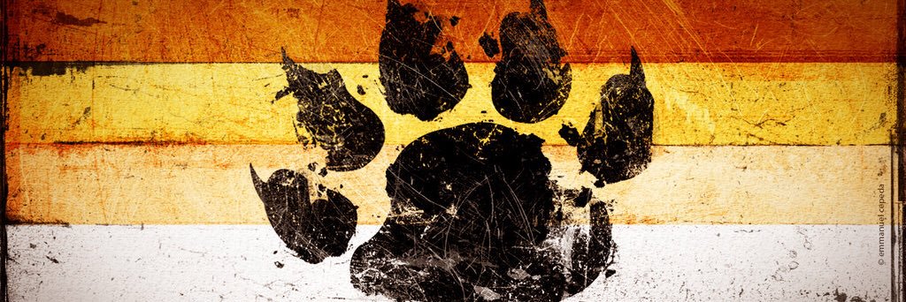 dabearcub2003's banner