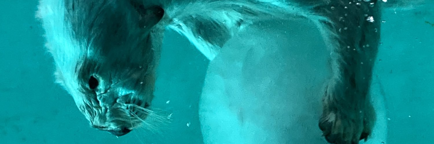 ベル🦦's banner