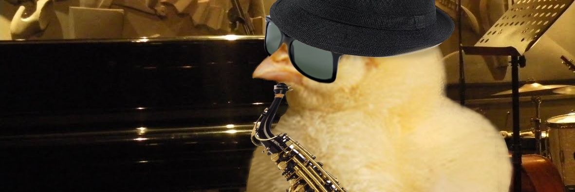 Don Pollo 's banner