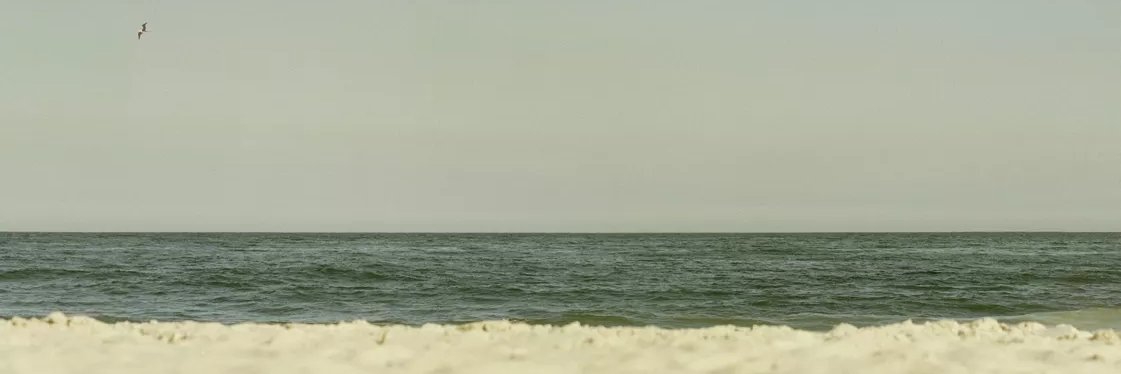 tavares 013's banner