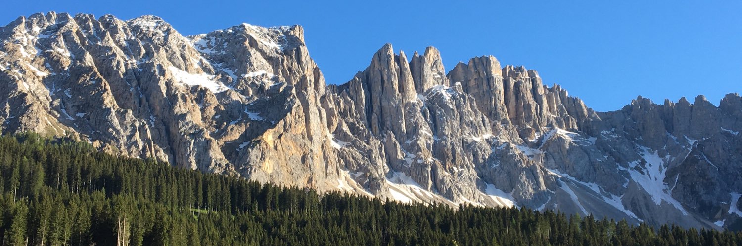Paola Confalonieri's banner