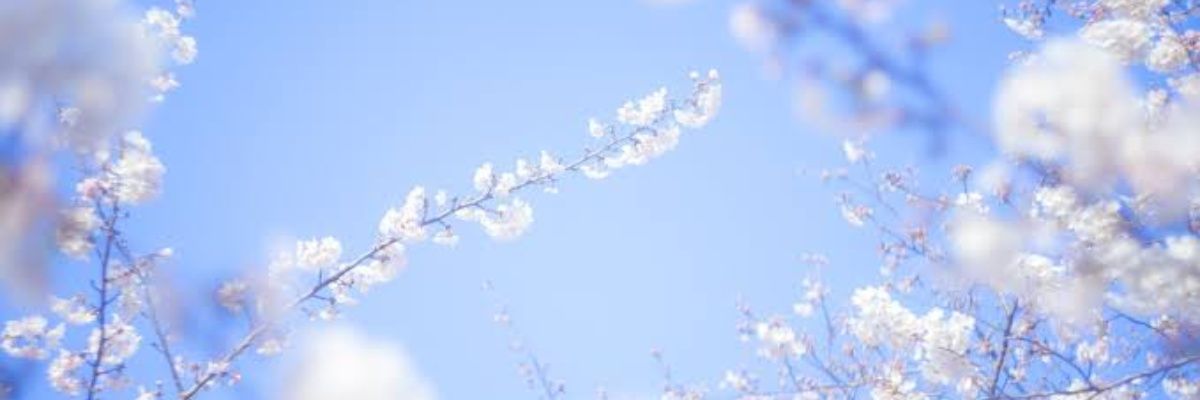 たらも's banner