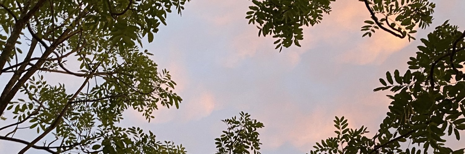 Deb's banner