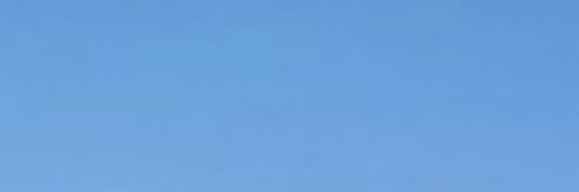 Koya(一隻鴿子）'s banner