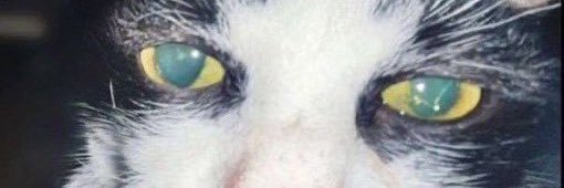 kafkabooben (ft. 🆗🆒)'s banner