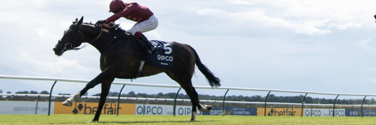 Qatar Racing's banner