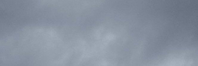 Bunny Hop's banner