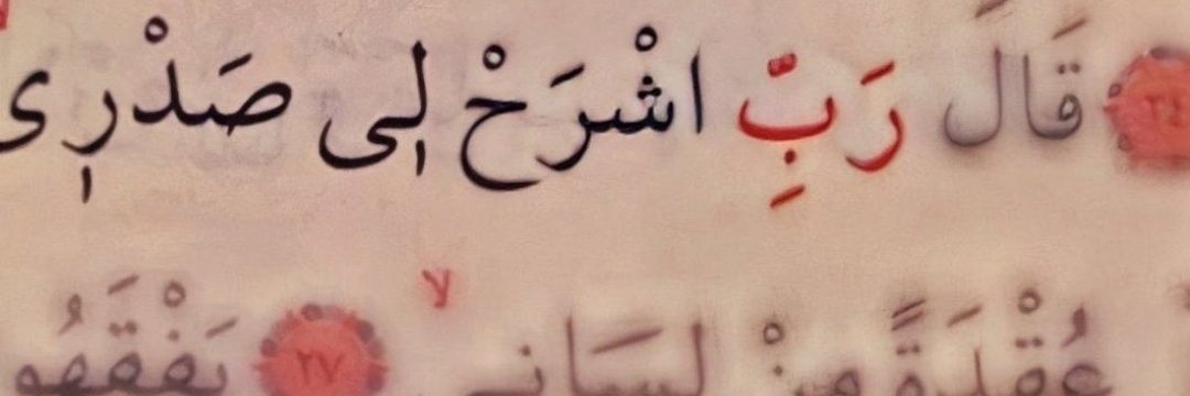 Nyctophilia🖤's banner