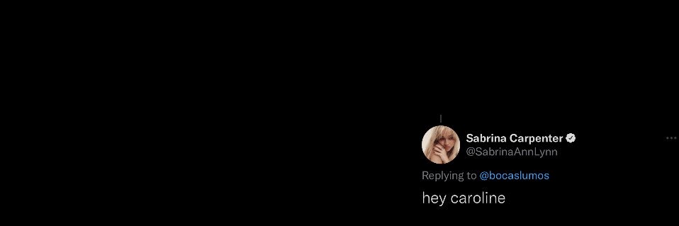 caroline ꕤ's banner