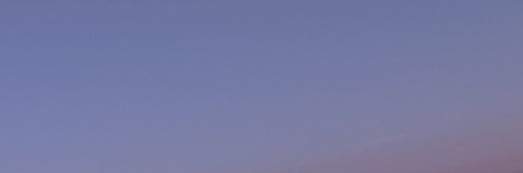 m o m o 🐰's banner