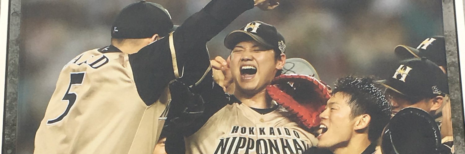 ファイターズ犬翔平's banner