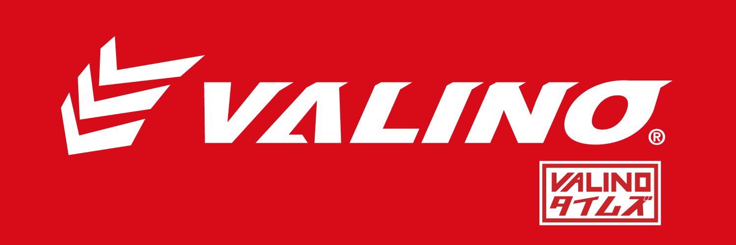 VALINO TIRES ヴァリノタイヤ 公式's banner