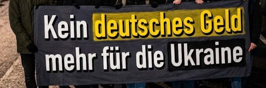 Der Kater Jimmy 😸's banner