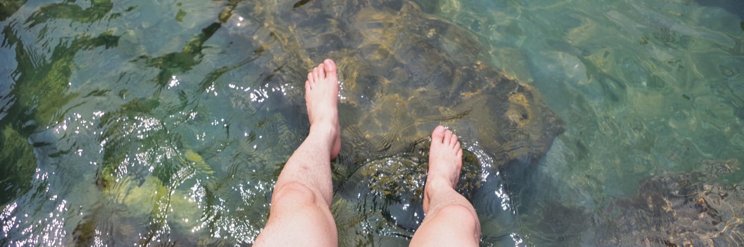 Chung Cực Nam's banner