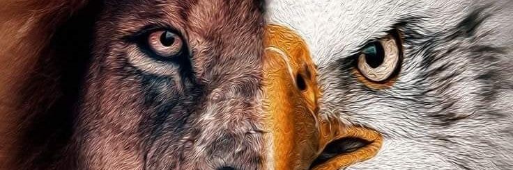 Makoylitzzz's banner