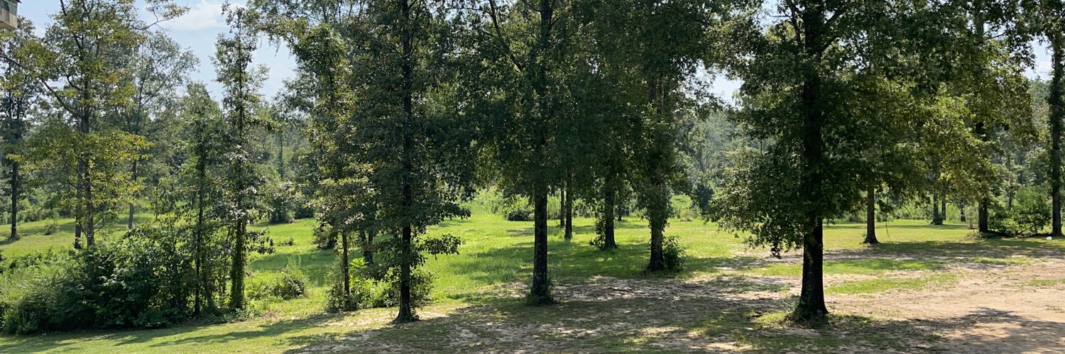 LittleSerene's banner