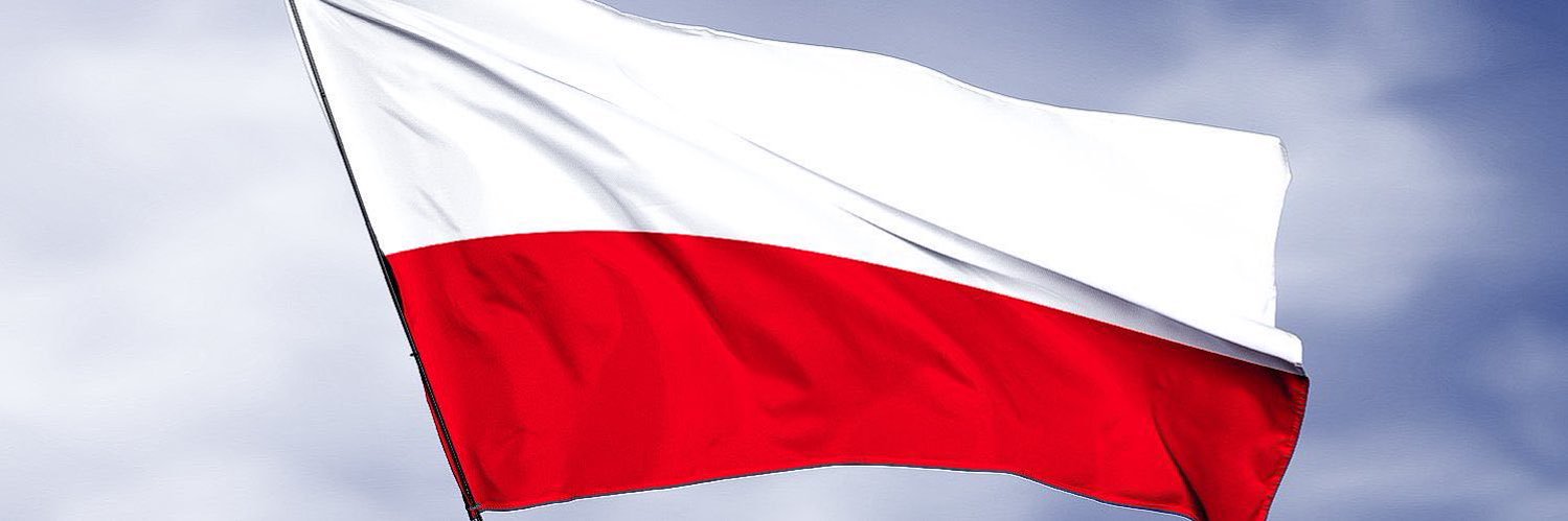 Rafał Zgryziewicz's banner