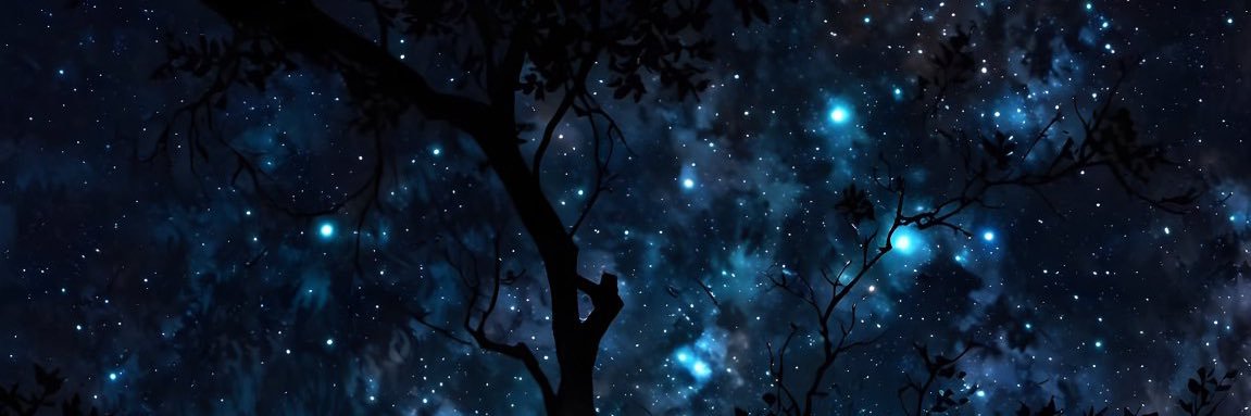 ִ ࣪𖤐⋆˖⁺‧₊☽◯☾₊‧⁺˖⋆ִ ࣪𖤐's banner