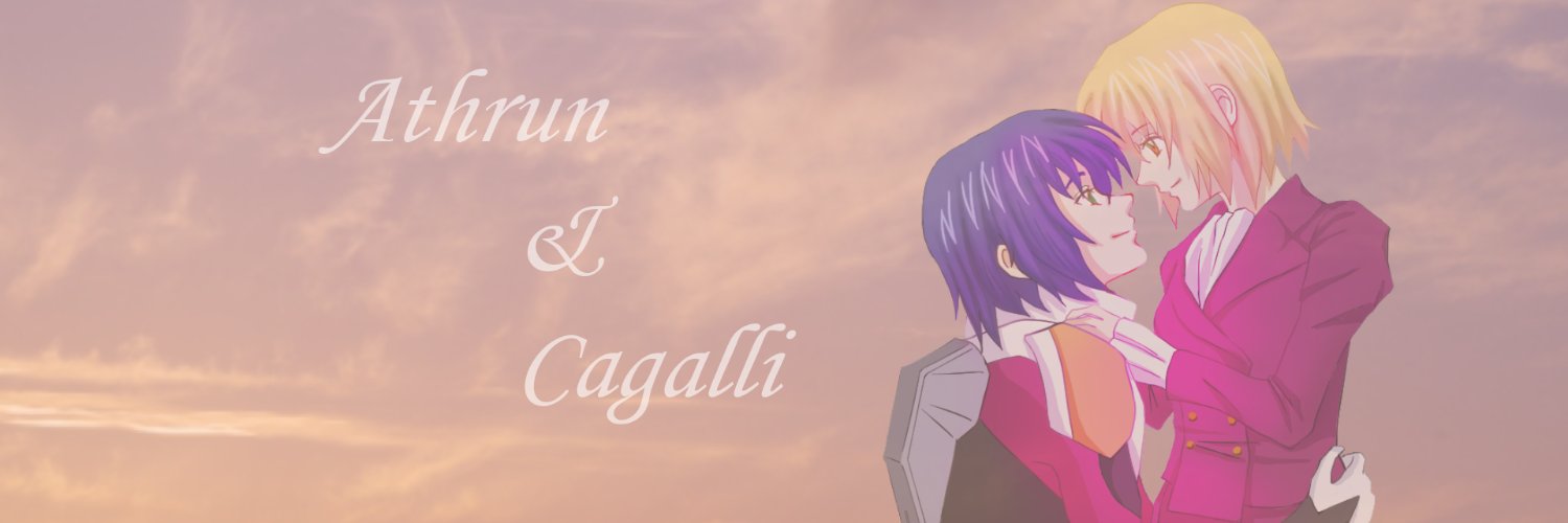 misa's banner