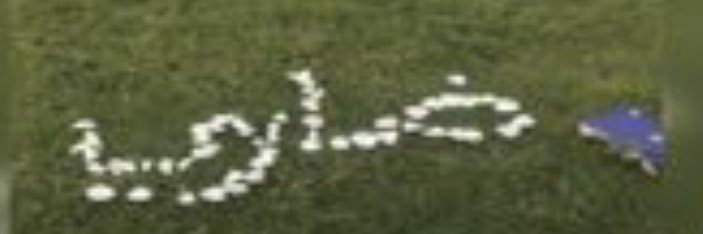 ضاري الفضلي's banner