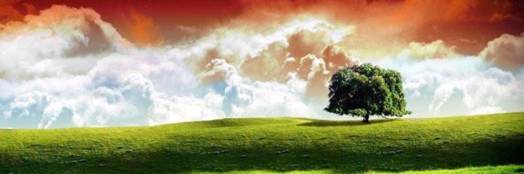 Imtiyaz Hussain's banner