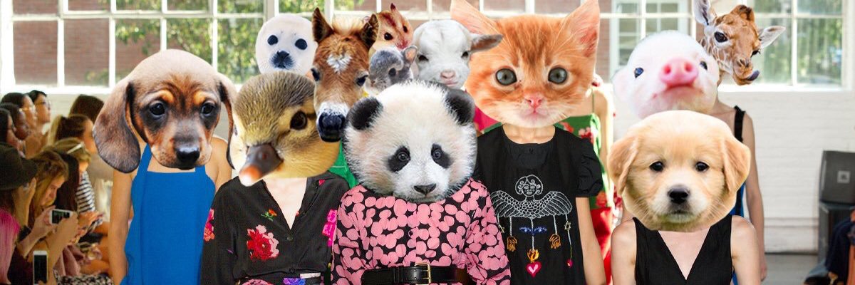 beingpattieboyd's banner