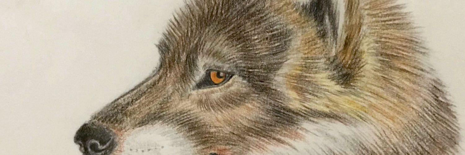 🐺狼額🐺's banner