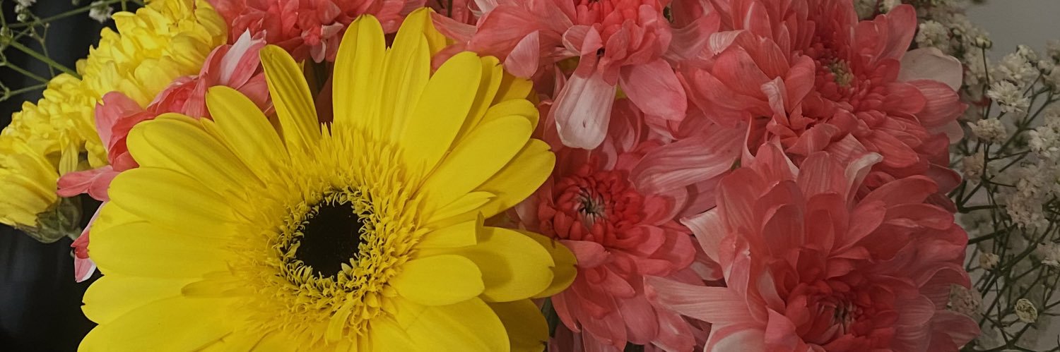 ⋆✴︎˚｡⋆𝚜𝚘𝚕 𝚝𝚊𝚛𝚘́𝚕𝚘𝚐𝚊 ⚢'s banner