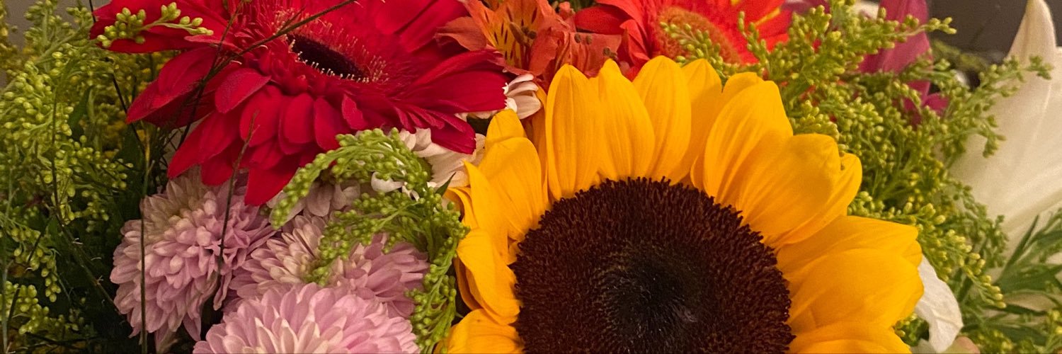 ⋆✴︎˚｡⋆𝚜𝚘𝚕 𝚝𝚊𝚛𝚘́𝚕𝚘𝚐𝚊 ⚢'s banner