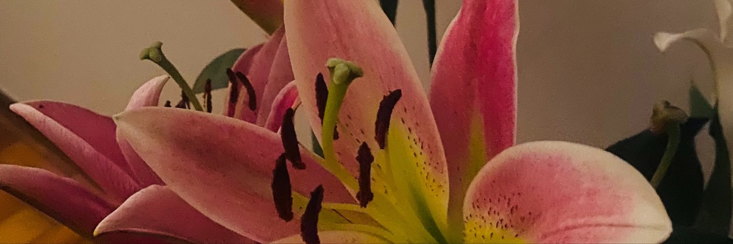⋆✴︎˚｡⋆𝚜𝚘𝚕 𝚝𝚊𝚛𝚘́𝚕𝚘𝚐𝚊 ⚢'s banner
