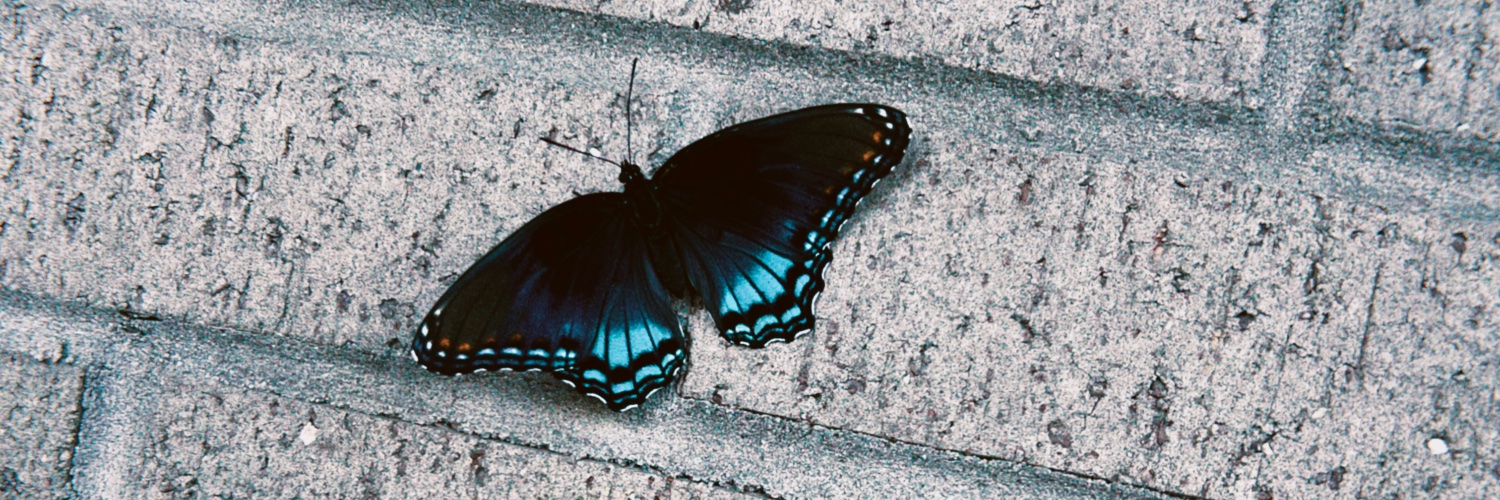 Mint Chocolate Chip 🩵's banner