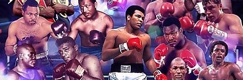 The Boxing Feed's banner