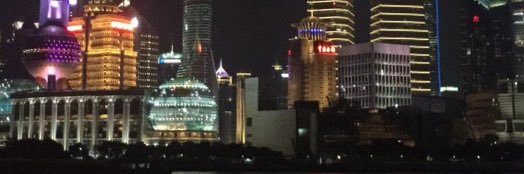 上海绿主出没's banner