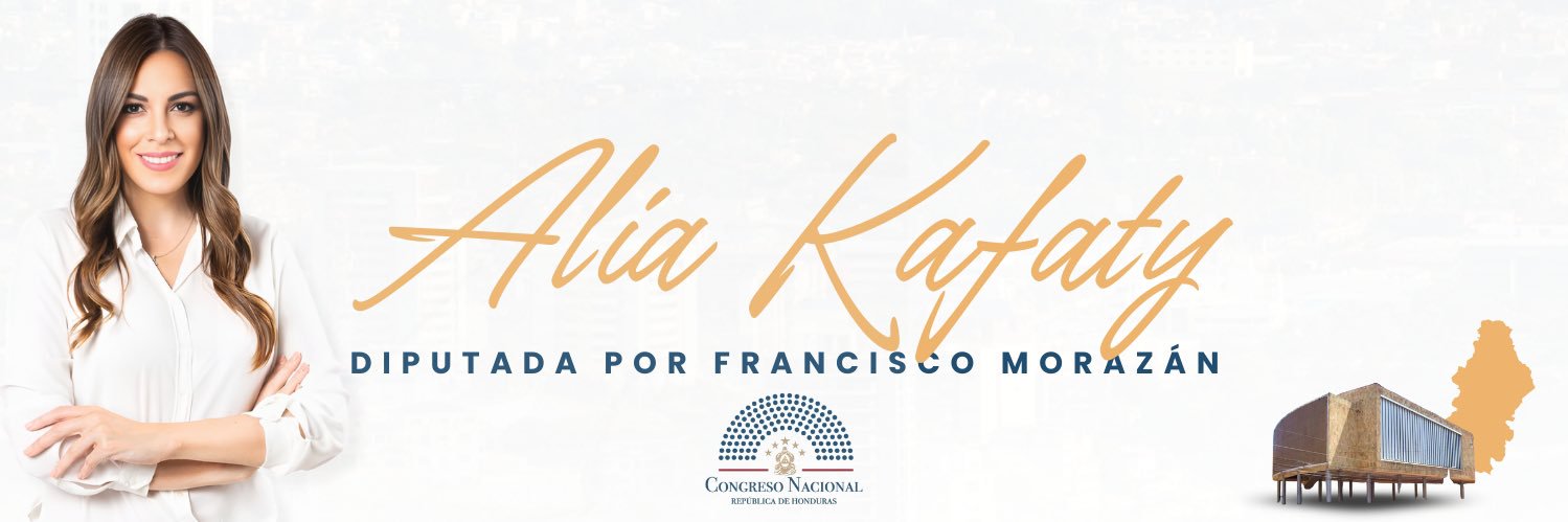 Alia Kafati Diputada's banner