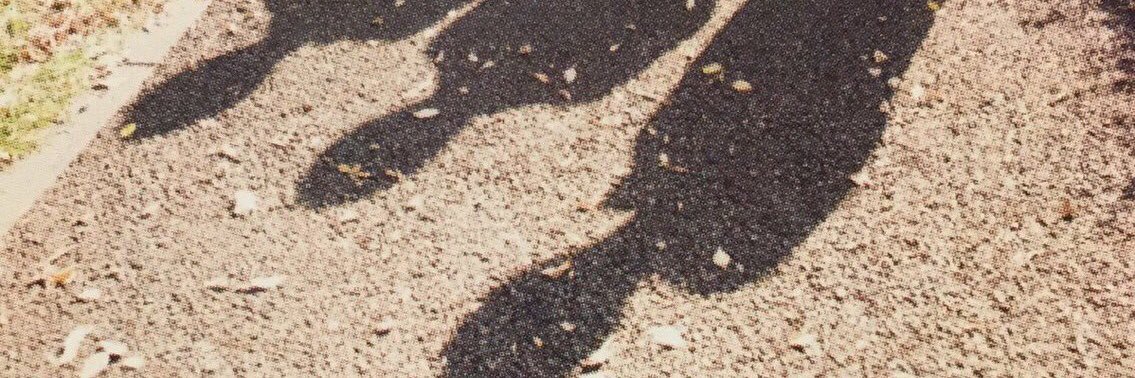 𓈒's banner