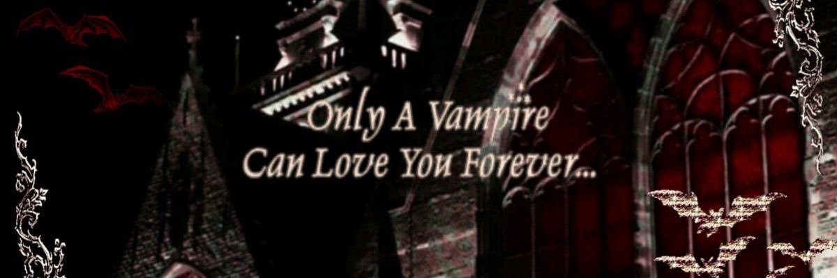𖦹's banner