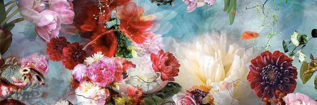 ((Liz❤️SnK&EO)) ⚓️🧭's banner
