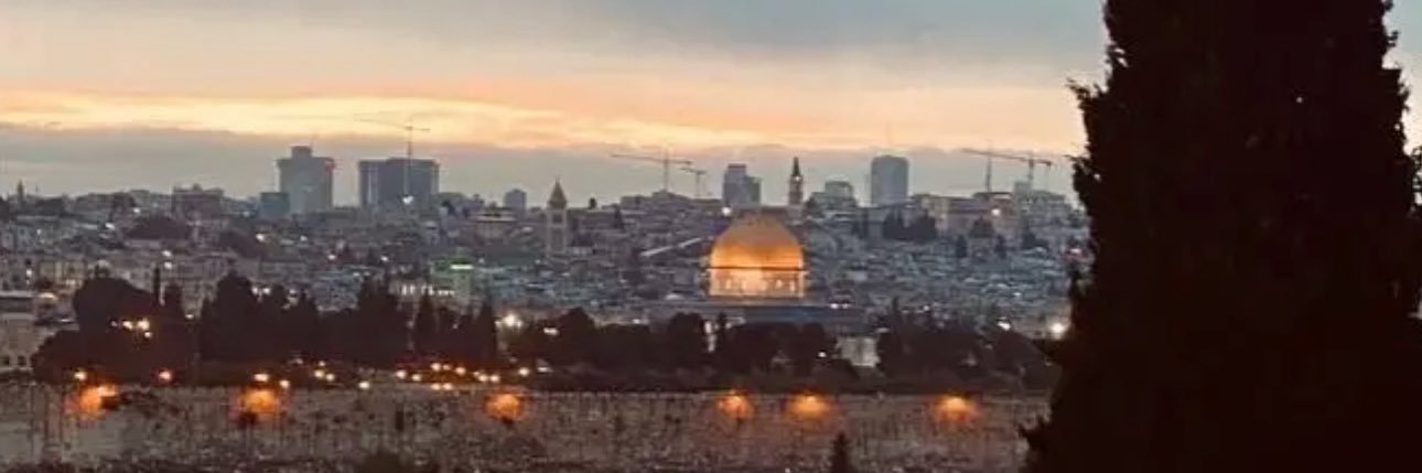 Iman 🇵🇸 𓂆's banner