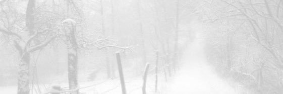 百瀬まりな's banner