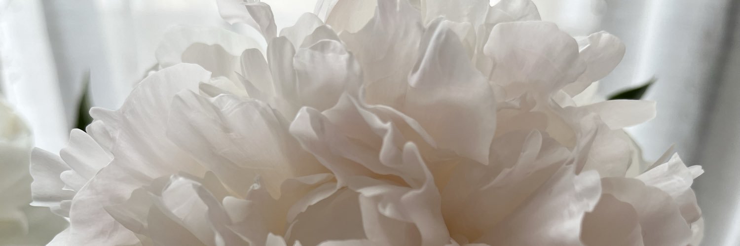 せんばみちこ's banner