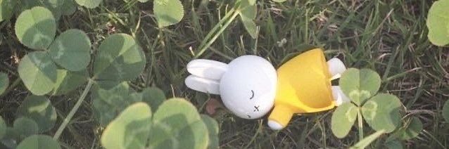 🐰🍥 saw 0:00, tear, wings, dope's banner