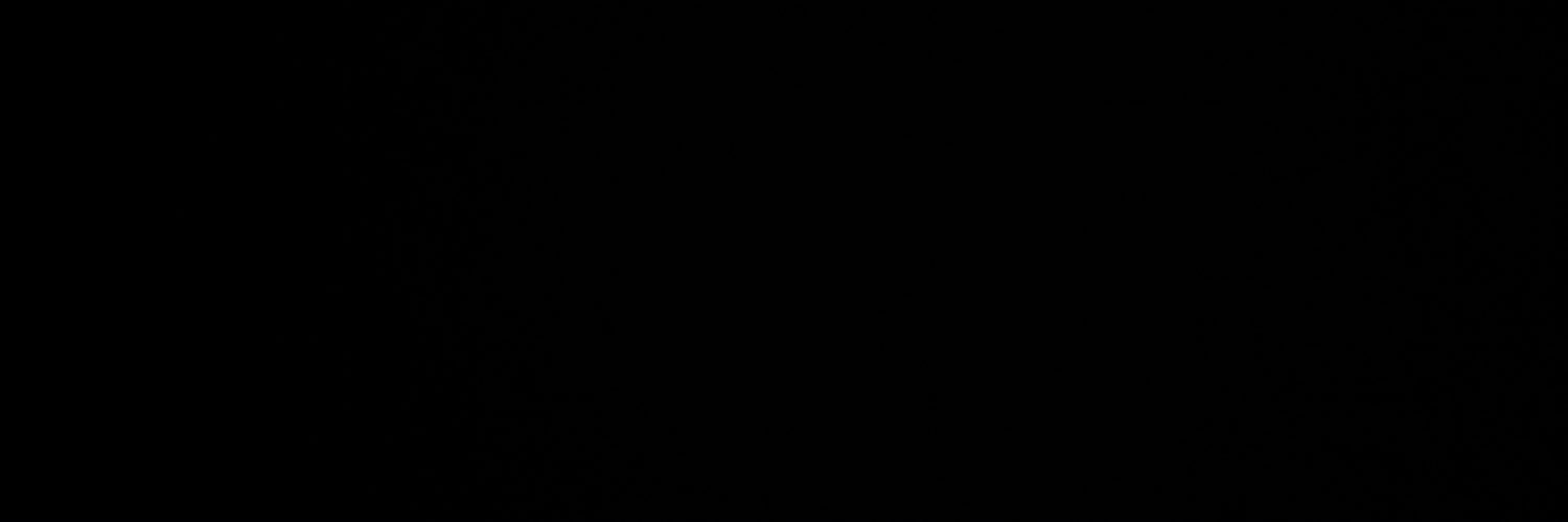 Pell City Football's banner