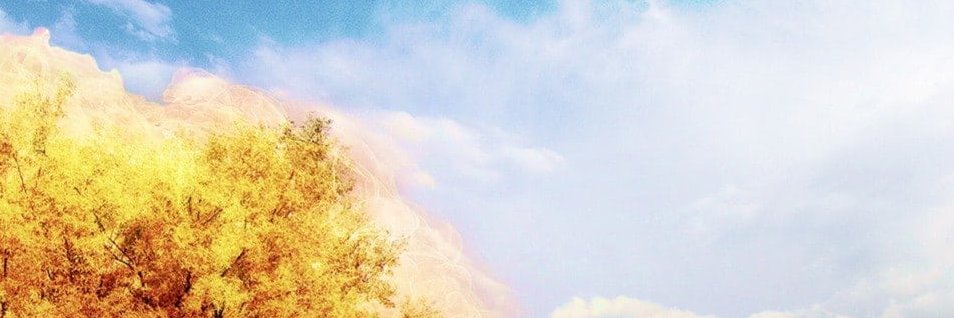 Dansku's banner