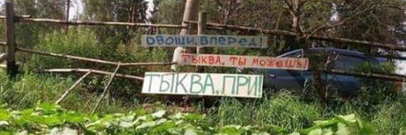 ксенечка и коты's banner