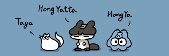 홍야타 HongYatta's banner