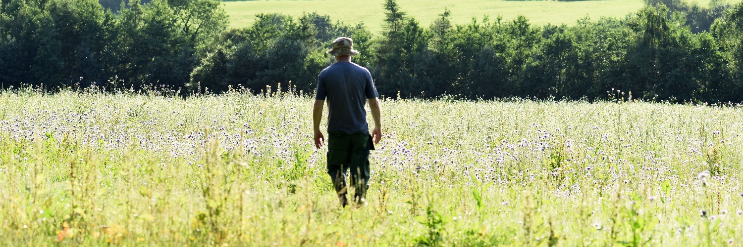 The Bee Guy's banner