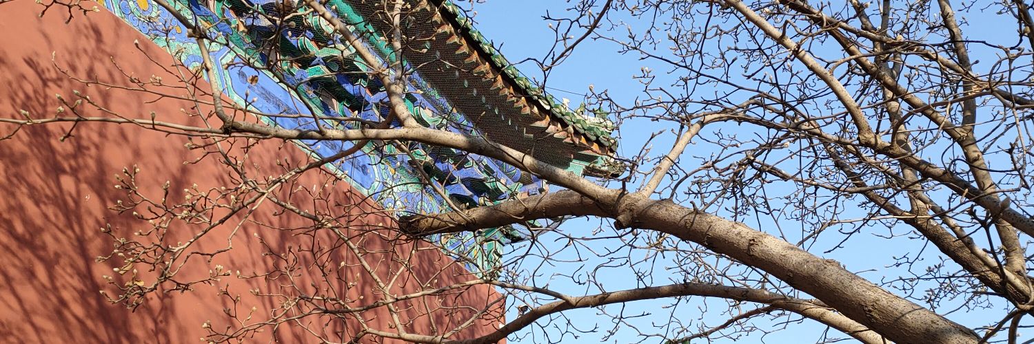 比波比's banner
