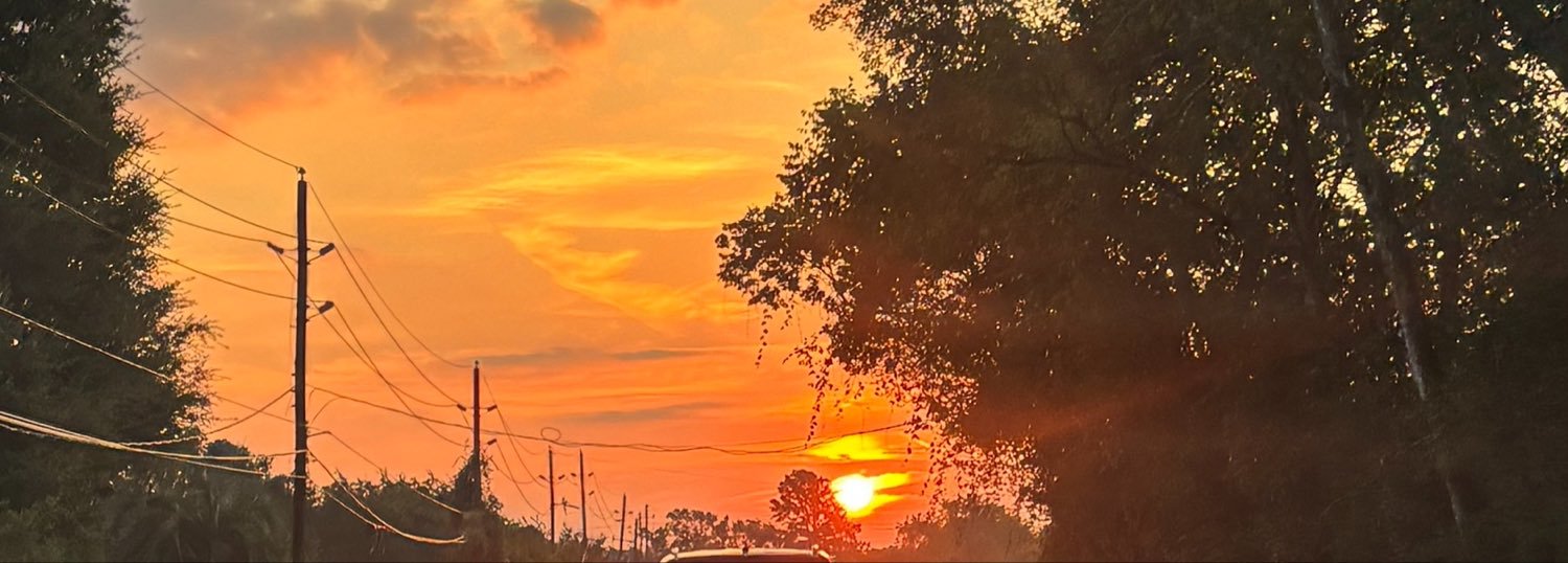 Aida Rodriguez 🌵's banner