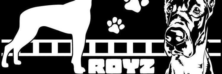 あきるな🍾🐩's banner